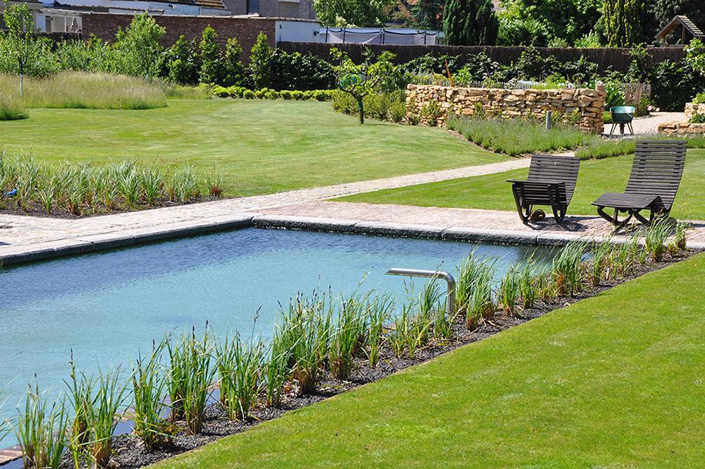 gingko gardens tuinarchitectuur zwembad