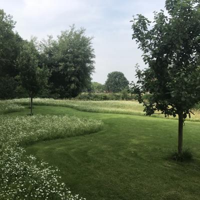 Gingko Gardens Open Achtertuin