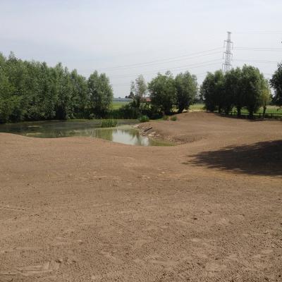 Gingko Gardens Tuin Grond