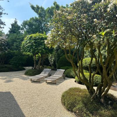 Gingko Tuin 8
