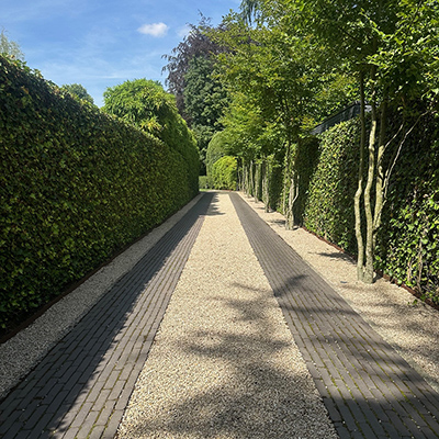 voorbeeld tuinproject